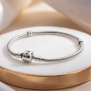 May include: A silver snake chain bracelet featuring a cylindrical clasp engraved with the text PANDORA. The bracelet has a flexible, woven metal design with two fixed stations along the chain to hold charms in place, creating a circular shape.