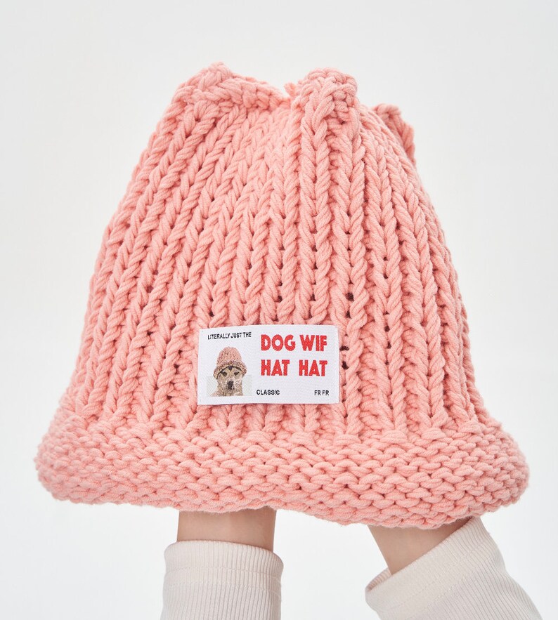May include: A pink knitted beanie with a white patch that says "DOG WIF HAT HAT" and "LITERALLY JUST THE CLASSIC FR FR".