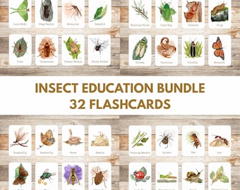 Insect Flash Cards, Montessori Homeschool, Nature Study, Preschool learning, 32 Bug Flashcards