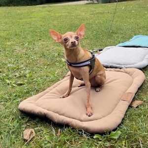 Handmade Washable Pet Bed Mat: Velvet, Velour, Teddy, or Waterproof