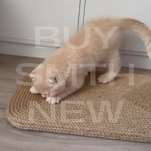May include: A light tan kitten playing on a woven, rectangular cat scratcher. The kitten is in a playful pose, with its front paws touching the scratcher. The words "BUY" and "NEW" are visible in the image.