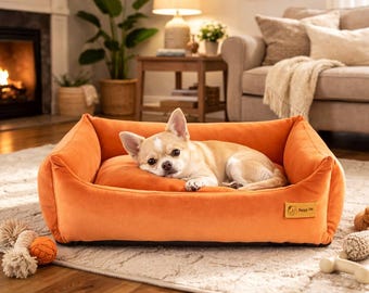 Orange Dog Bed for Small Dogs, Modern Washable Pet Bed, Indoor Cat Bed, Cozy Puppy Sofa with Removable Cover