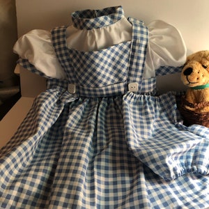 Dorothy costume for infant or toddler