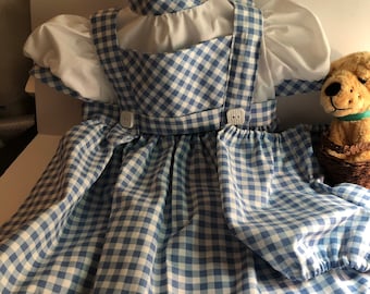 Dorothy costume for infant or toddler