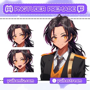 Premade Pngtuber, téléchargement immédiat, Cool Women pngtuber, filles Pngtuber, Anime pngtuber, mignon PNGTuber modèle, avatar vtuber, modèle Pngtuber