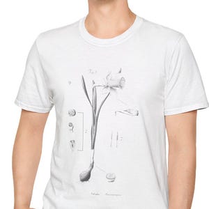 Botanical Daffodil T-Shirt, Vintage Floral Tee, Unisex Softstyle Shirt, Flower Graphic Top, Nature Lover Gift