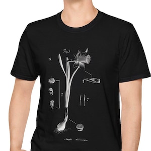 Botanical Daffodil T-Shirt, Vintage Floral Tee, Unisex Softstyle Shirt, Flower Graphic Top, Nature Lover Gift