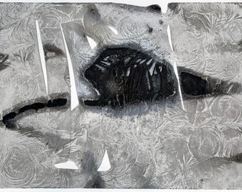 Deep Freeze Ice Fish. Gelid ice color by Bret Barrett
