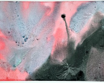 Butterfly Flower Frost. Gelid ice color by Bret Barrett