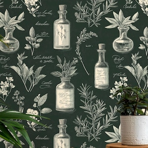 Carta da parati vintage da farmacia, murale botanico con erbe aromatiche verde scuro, decorazione murale rustica in stile cottagecore, estetica retrò per la casa disegnata a mano