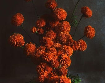 FineArt vuurwerkafdruk | stillevenfoto | woondecoratie | 4 x 6 | 8 x 10 | 12 x 16 | 16 x 20