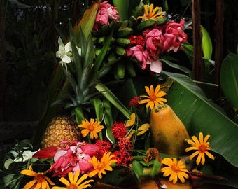 Santa Trinidad tropische fine-art print | stillevenfoto | woondecoratie | 4 x 6 | 8 x 10 | 12 x 16 | 16 x 20