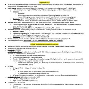 以下が含まれることがあります： 「内科」と題された医療参考資料で、狭心症や不整脈など、心血管系の問題に関するセクションがあります。テキストには、症状、治療法、診断基準が含まれています。