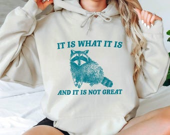 It Is What It Is And It Is Not Great Hoodie, Funny Raccoon Hoodie, Mental Health Hoodie, Raccoon Hoodie, Meme Hoodie, Funny Hoodie Women