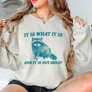 It Is What It Is And It Is Not Great Sweatshirt, Funny Raccoon Sweatshirt, Mental Health Sweatshirt, Raccoon Meme Sweatshirt, Raccoon Lover