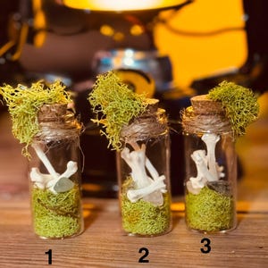 Oddity jar mink bone