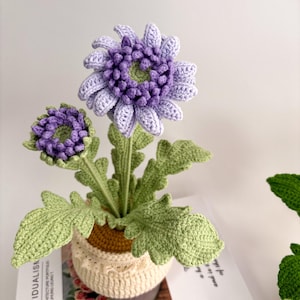 May include: A crocheted flower arrangement featuring two purple and lavender flowers with green centres and leaves. The flowers are in a beige pot with a crocheted lace design. The arrangement is handmade.