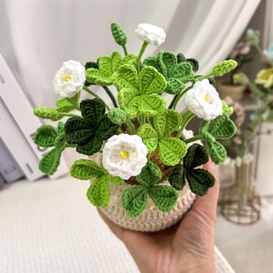 May include: A crocheted plant arrangement with green clover leaves and white flowers with yellow centres. The plant is in a beige crocheted pot. The handmade craft has a detailed texture and a natural aesthetic.