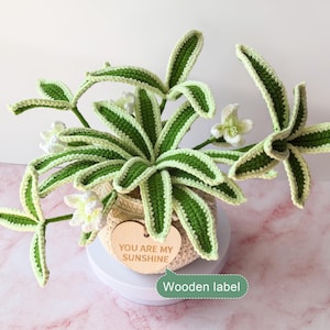 Crochet Plant, Handmade Spider Plants Crochet Flowers for Mothers Day Gift, Birthday, Friendship, Anniversary, Desk Decor