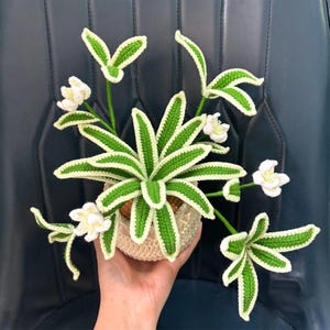 May include: A crocheted plant with white flowers and green leaves in a crocheted pot. The plant is a realistic representation of a spider plant.