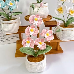 以下が含まれることがあります： 白い鉢植えの、かぎ針編みで作られた蘭の植物。 ピンクと白の花は黄色の中心と緑の葉を持っています。 鉢は木製の多層ディスプレイに置かれています。 青と白、白と黄色の花を持つ他の植物も表示されています。
