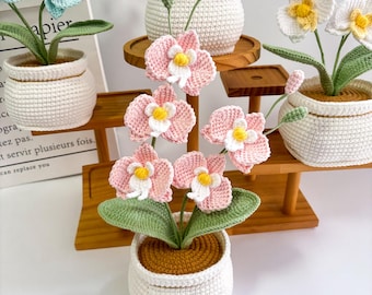 完成したかぎ針編みの胡蝶蘭の鉢植え、葉とつぼみのある編み物の胡蝶蘭