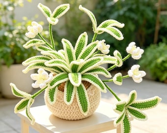 かぎ針編みのサボテン: ご自宅用に作れるウールの多肉植物 16 種類