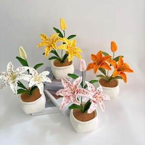 May include: Five crocheted lily flower arrangements in white, yellow, orange, pink, and white with pink spots. Each flower is in a white crocheted pot with a brown base, and green leaves. The lilies are displayed on a white surface.