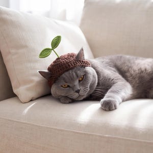 May include: A brown crocheted hat for a cat, featuring a small green sprout attached to the top. The hat is textured with a ribbed edge and is designed to fit snugly on the head of a feline, with the green sprout standing upright.