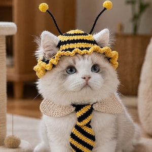 May include: A white cat wearing a crocheted bee costume set consisting of a yellow and black striped hat with two antennae topped with yellow pom-poms, and a matching yellow and black striped necktie with beige crocheted collar accents.