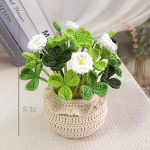 May include: A crocheted flower arrangement in a beige pot, approximately 8 inches tall. The arrangement features white flowers with yellow centers and green leaves in varying shades. The pot has a lace trim.