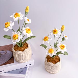 Crochet Flowers in Pot, Crochet Daffodil Pot, White Flower Bouquet for Desk Decor, Birthday Gifts for Friends, Mom, Teacher, Girlfriend