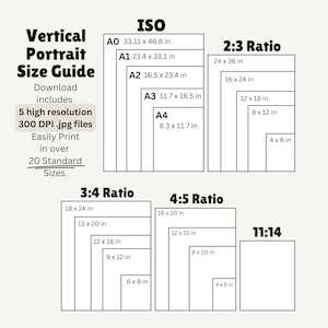 May include: A vertical portrait size guide with various aspect ratios and sizes, including ISO, 2:3, 3:4, 4:5, and 11:14. The guide includes sizes like A0 (33.11 x 46.8 inches) and A4 (8.3 x 11.7 inches), and other standard sizes.