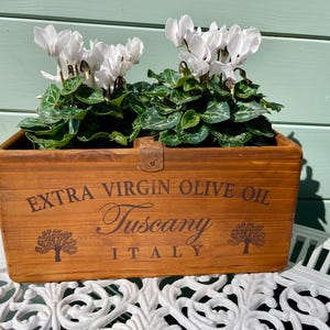 Rustic Pine Wood Olive Oil Box: Tuscan Kitchen Storage, Metal Detail
