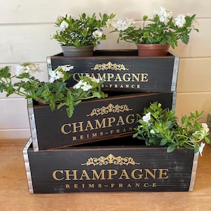 May include: Three black wooden planters stacked on top of each other, each with the word "CHAMPAGNE" in gold lettering. The planters contain small potted plants with white flowers and green leaves. The text "REIMS FRANCE" is also visible.