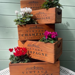 Rustic Pine Wood Champagne Crate: Vintage Style Storage Box