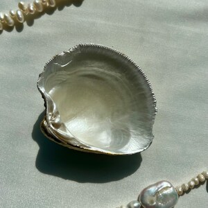 Clam Shell Ring Dish- Trinket Tray- Real Seashell- Hand Painted ...