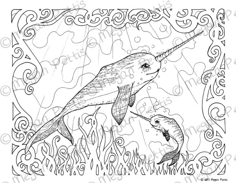 8400 Narwhal Unicorn Coloring Pages Pictures 8400 Narwhal Unicorn Coloring Pages Pictures