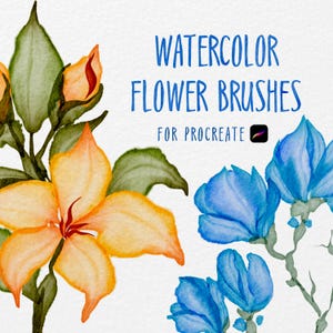 37 aquarelbloemenpenselen voor Procreate, aquarelbloemblaadjes, aquarelplantenpenselen voor Procreate, digitale aquarelpenselen