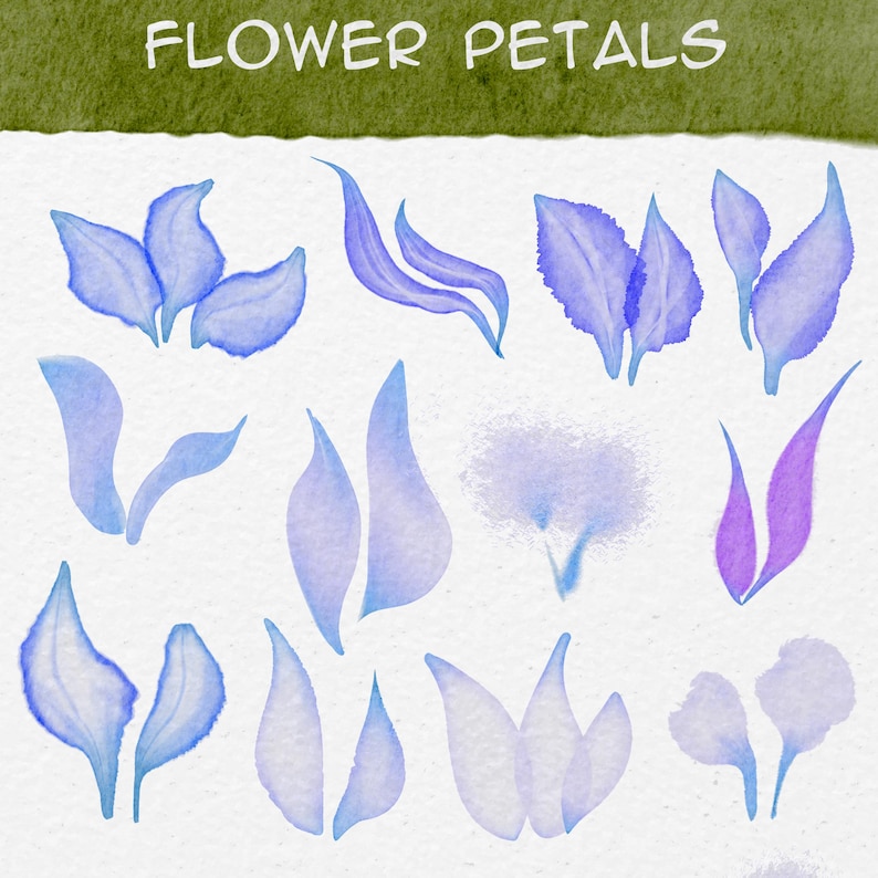 Procreate Watercolor Flower Brushes: Realistic Petal & Plant Set ...