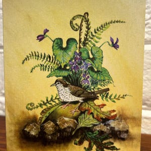Cactus Wren - (A2) Tarjeta de felicitación, nota, papelería, tarjeta en blanco con sobre, tamaño 4,25" x 5,5"
