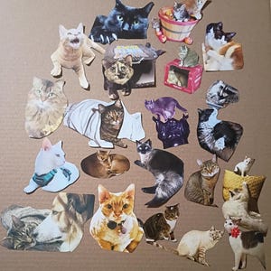 May include: A collection of various cat-themed paper cutouts featuring diverse feline breeds, colors, and poses. The assortment includes cats sitting, lying down, playing, and interacting with objects like a basket, a box, and a yellow pillow.