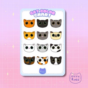 Stickervel kattenkleurenkaart | Stickervel schattige kat | vinylstickers