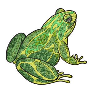 Puede incluir: Una rana verde y amarilla con un diseño estampado detallado. La rana está sentada sobre un fondo blanco.