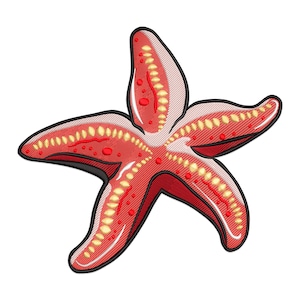 May include: A red starfish with a black outline. The starfish has a textured appearance with yellow and red details. The design is a five-pointed star, with a detailed pattern of small dots and lines.