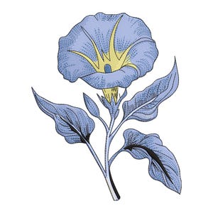 May include: A blue flower with a yellow centre and green leaves. The flower is in bloom and has a delicate, intricate design.