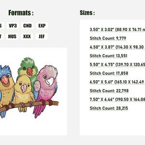 Peut inclure: Quatre perruches de dessin anim&eacute; color&eacute;es perch&eacute;es sur une branche. Les perruches sont bleues, vertes, jaunes et roses. L'image comprend du texte listant diff&eacute;rents formats de fichiers de broderie et des tailles en pouces et en millim&egrave;tres, ainsi que des comptages de points.