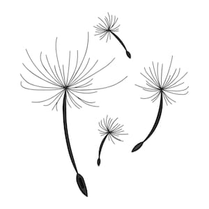 Könnte beinhalten: Schwarz-Weiß-Illustration von mehreren fliegenden Pusteblumen-Samenköpfen vor weißem Hintergrund. Die Samen haben zarte, strahlenförmige Linien und dunkle, längliche Stiele, die ein Gefühl von Bewegung und Leichtigkeit erzeugen.