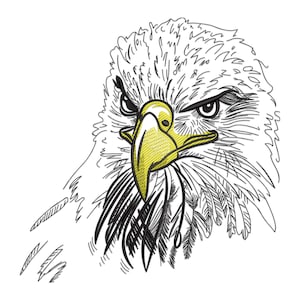 Op de afbeelding: Een close-up van een zwart-witte lijntekening van een adelaarskop. De snavel van de adelaar is geel en de ogen zijn zwart.