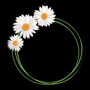May include: A white daisy wreath with three flowers and green leaves on a black background.
